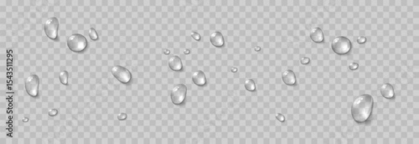 Obraz Vector water drops. Drops png, condensation on the window, on the surface. Realistic drops on an isolated transparent background.