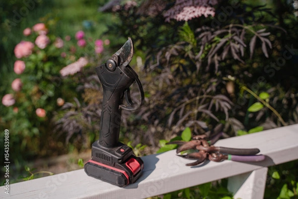 Fototapeta Gardener's set in the form of various pruning shears. Garden tools for pruning plants. Garden electric pruner or battery pruner. A tool for pruning plants with a rechargeable battery.