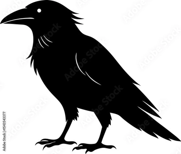 Obraz craw silhouette isolated on white