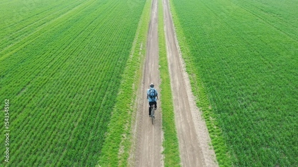 Fototapeta Cyclist riding along a rural path surrounded by green fields.