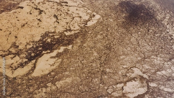 Fototapeta Aerial view of two birds flying over drying wetlands.