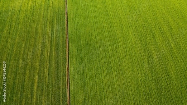 Fototapeta Aerial view from flying drone at green field.