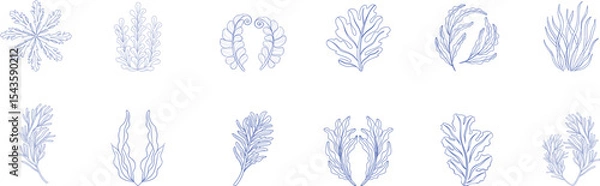Obraz Elegant botanical seaweed and plant line art collection in soft blue tones, perfect for natural design, spa branding, ocean  organic packaging, and underwater-inspired illustrations.