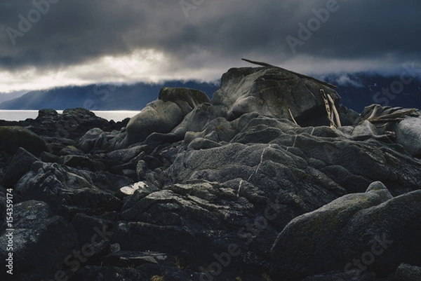 Obraz Rocky Shore with Driftwood on Stormy Day, Haines Alaska 