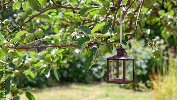 Obraz An old metal candle lantern hanging on an apple tree branch
