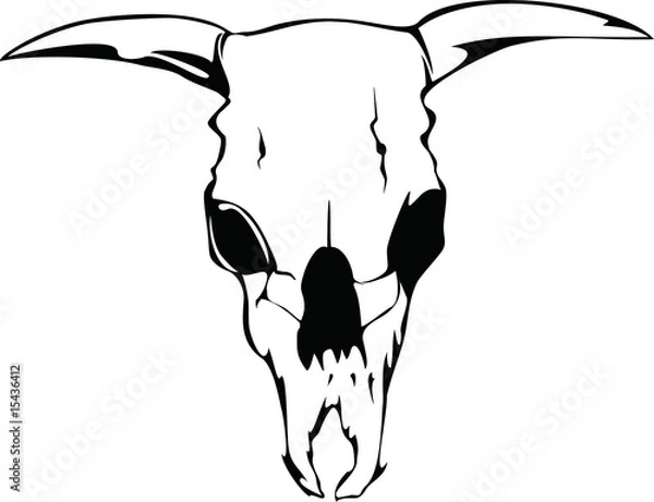 Fototapeta skill bull