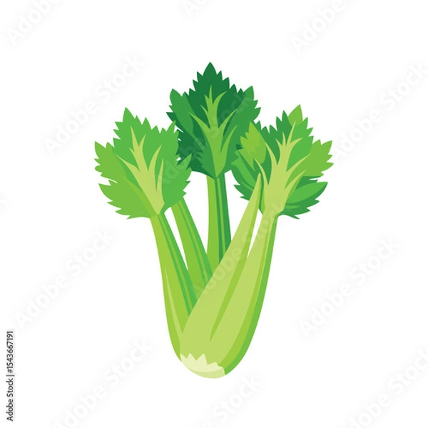 Fototapeta celery isolated on white background