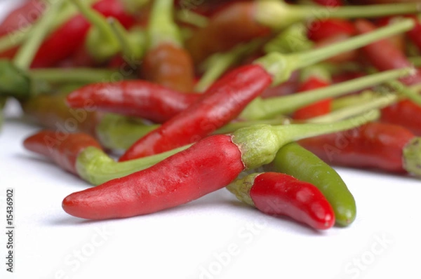 Fototapeta small and red hot birdeye chili close up