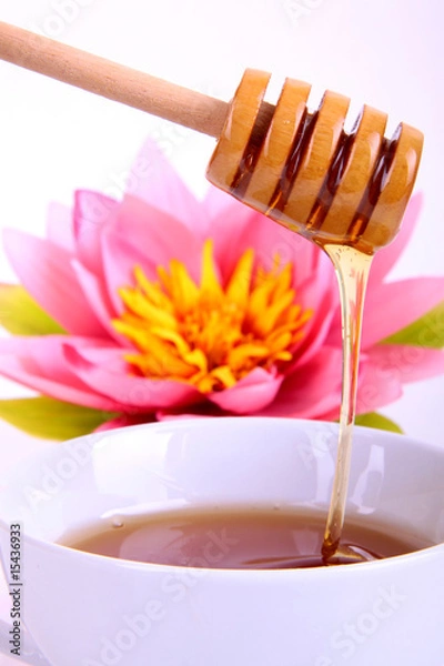 Obraz Honiglöffel