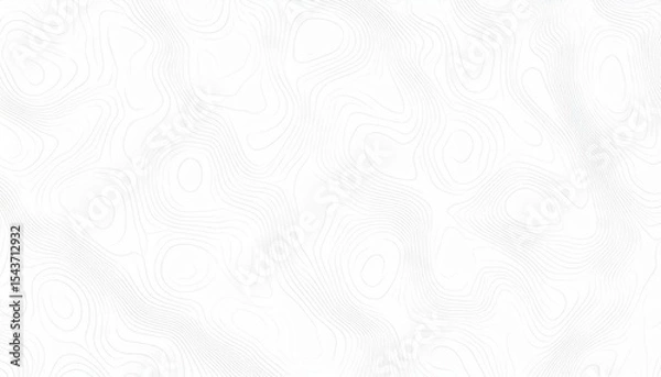 Fototapeta The image displays a white topographical map, using thin, grey contour lines to subtly represent varying elevations and creating an abstract yet elegant textured