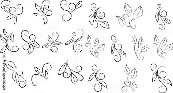 Obraz Collection of floral swirls and leaves elegant design elements