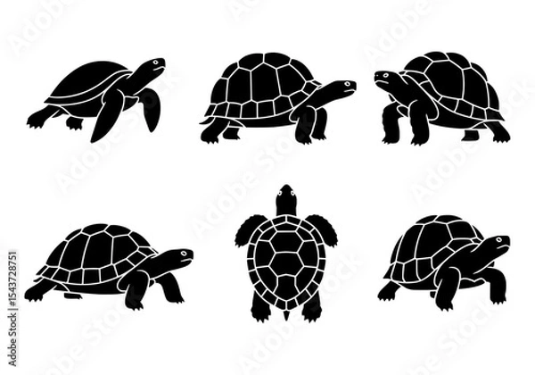 Obraz Vector various turtle and tortoise silhouettes isolated on white background