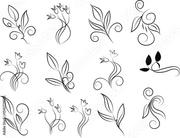 Obraz Elegant Floral and Leaf Design Elements in Black and White