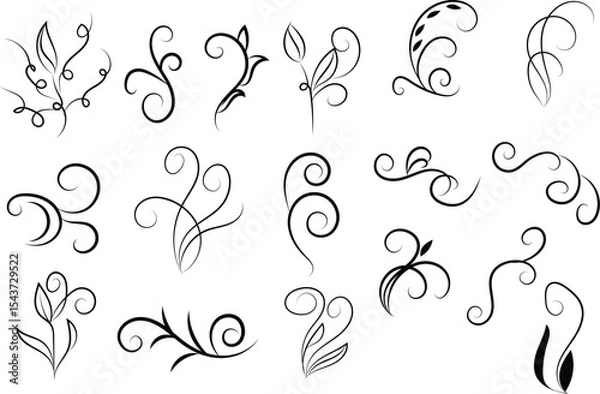 Obraz Collection of decorative floral swirls and flourishes in black line
