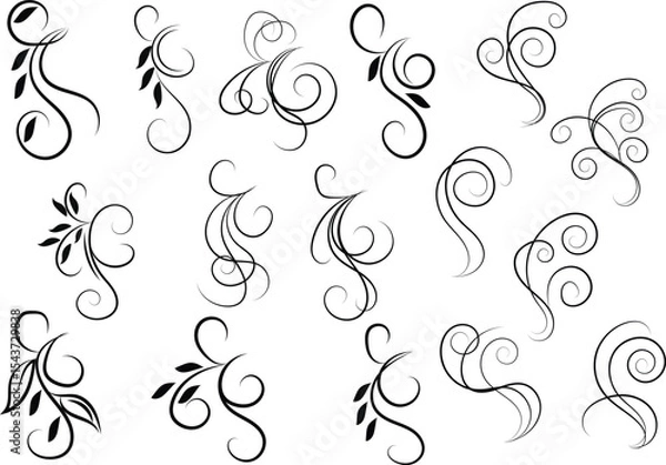Obraz Elegant Black Flourishes and Swirls on White Background for Design