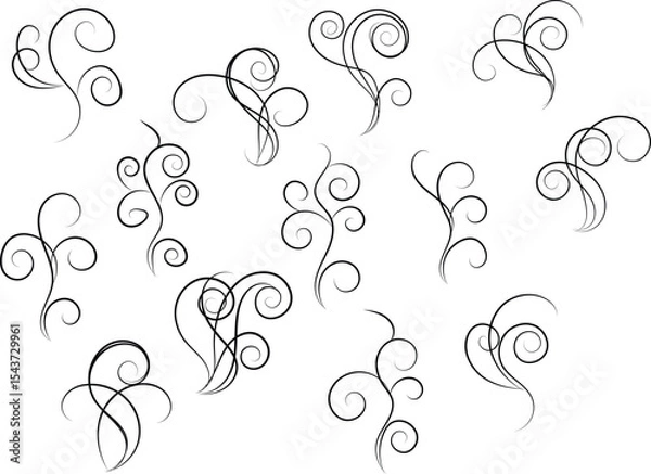 Obraz Elegant Black Swirls and Flourishes on White Background for Design
