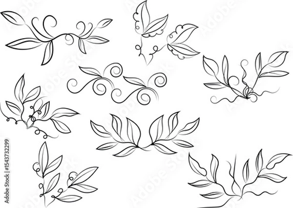 Obraz Elegant Floral Vector Elements with Swirls and Leaves