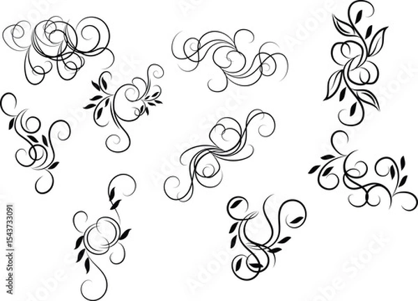 Obraz Elegant Flourish Designs with Leaves and Swirls on White Background