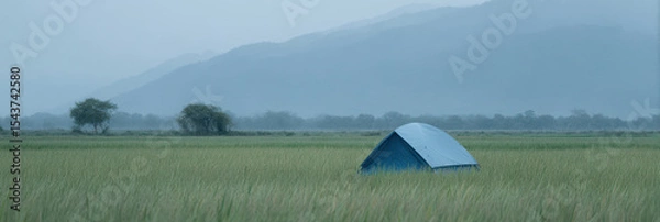 Fototapeta Blue tent in serene rice field with misty mountains in background
