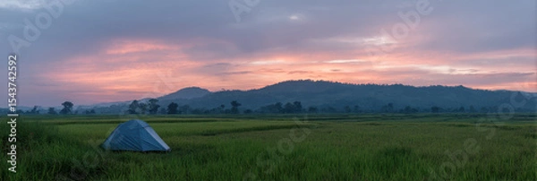 Fototapeta Tent set up in serene rice field at sunset with mountains in background