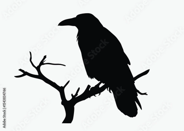 Obraz Crow on tree branch, bird silhouette vector, perched black and white illustration, spooky clipart, white background