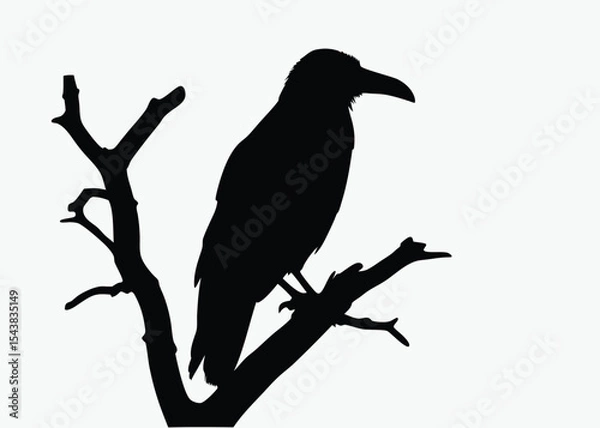 Obraz Crow on tree branch, bird silhouette vector, perched black and white illustration, spooky clipart, white background
