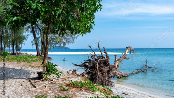 Obraz Tropical Beach with Driftwood and Turquoise Waters on a Remote Island in Thailand