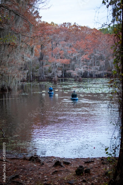 Obraz swamp paddlers