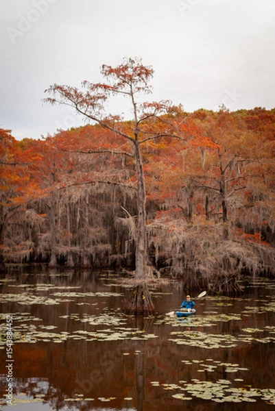 Obraz kayaker in the swamp
