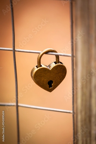 Obraz heart shaped lock