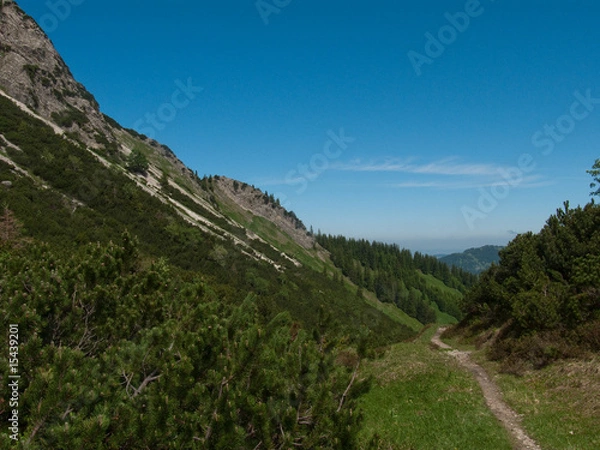Obraz Pfad am Berg