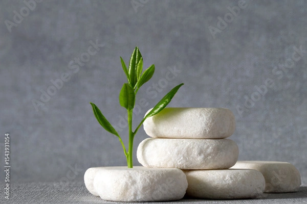 Fototapeta Green sprout on a heap of white stones on a gray background. Conceptual still life.