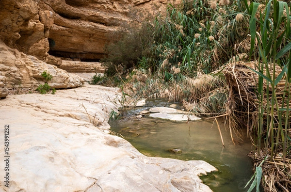 Fototapeta Shallow  mountain river flows along winding channel in Arugot Stream Nature Reserve near the Dead Sea in the southern Israel