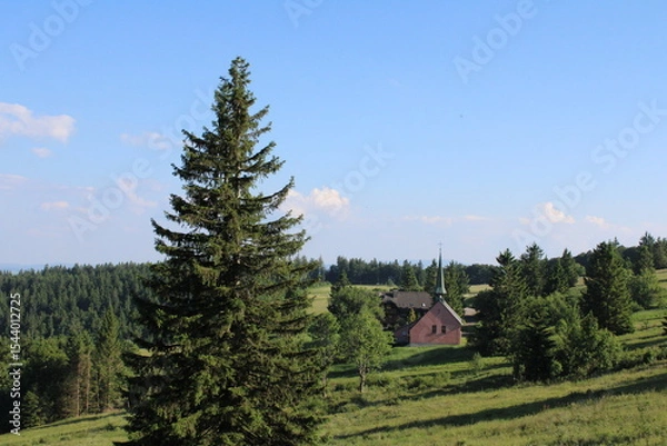 Obraz house in the mountains