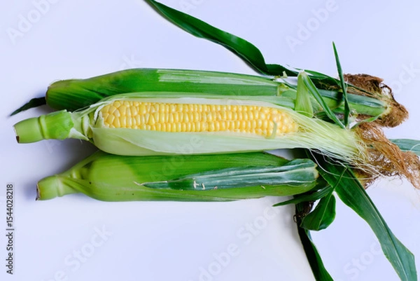 Obraz 白背景で撮影したとうもろこし