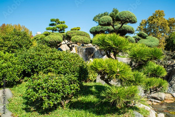 Fototapeta A rock garden with a waterfall and a pond