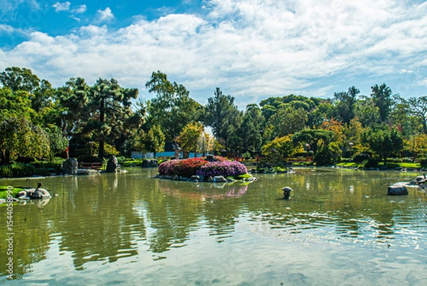 Fototapeta A pond with a small island in the middle