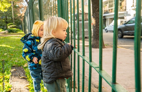 Fototapeta A young child is standing in front of a green fence