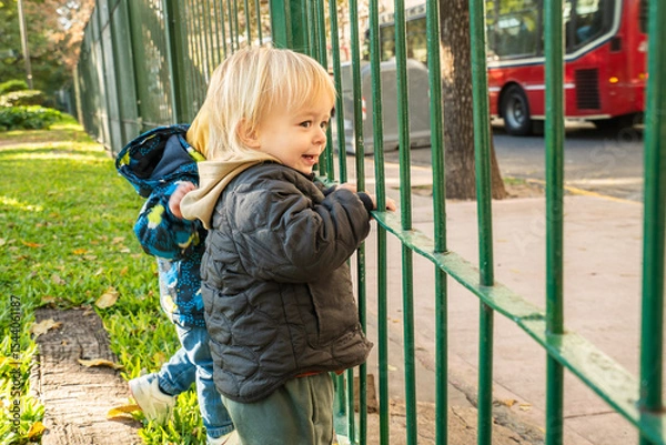 Fototapeta A young child is standing in front of a green fence