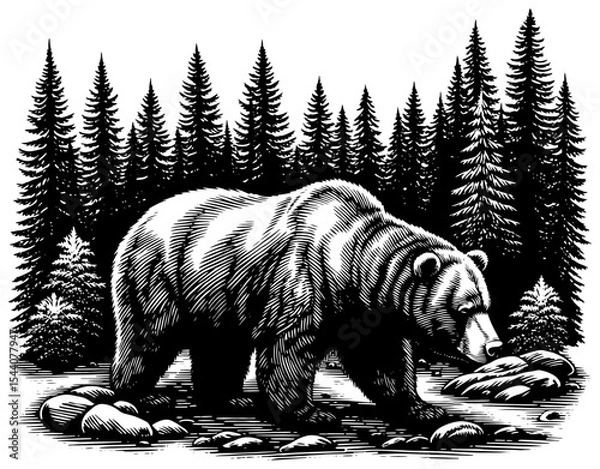 Fototapeta Grizzly bear wading in a forest stream, against a forest background