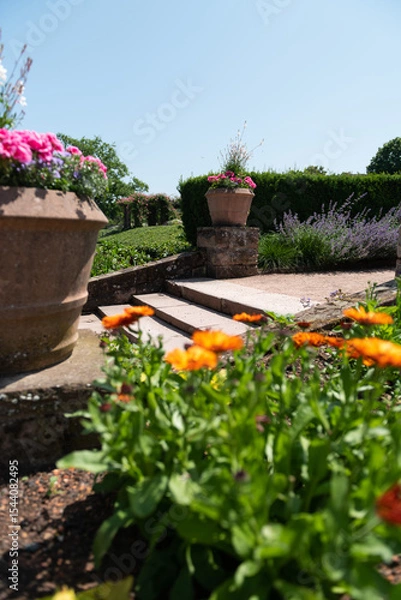 Obraz flowers in pots