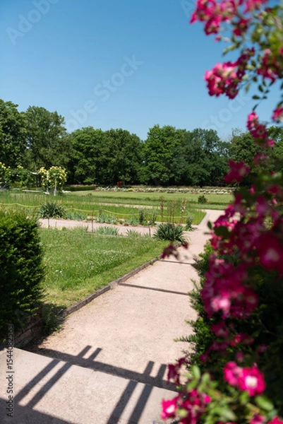 Obraz path in the park