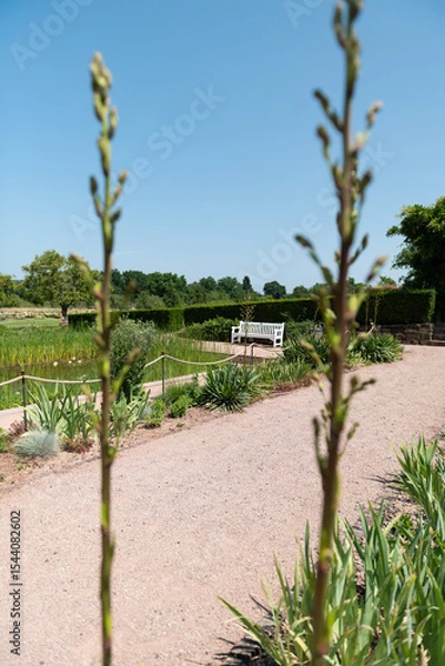 Obraz palm trees on the beach