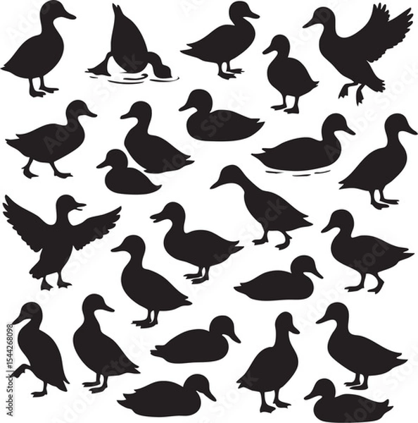 Fototapeta Collection of silhouettes featuring various duck poses in multiple arrangements on a white background