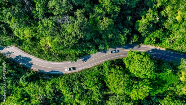 Obraz Electric cars to protect the environment and transportation road of Top view road in beautiful Rain forest with natural background, corporate concept to invest in the environment social and
