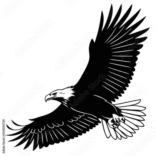 Obraz  Soaring Eagle Silhouette