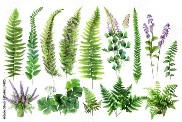Fototapeta Set of Arrangements of Ferns with Wildflowers, Isolated on White Background