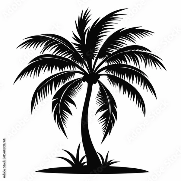 Fototapeta Tropical coconut tree silhouette vector Silhouette 
