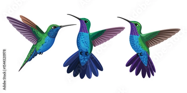 Obraz Realistic hummingbird set vector illustration