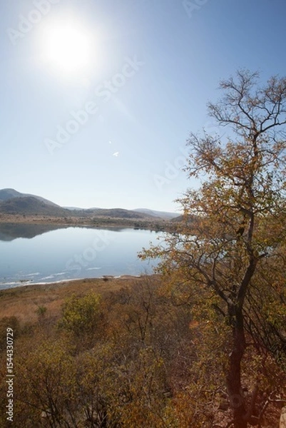 Fototapeta Flat design tree with golden leaves is standing by lake shore grasses edging water reflecting hills